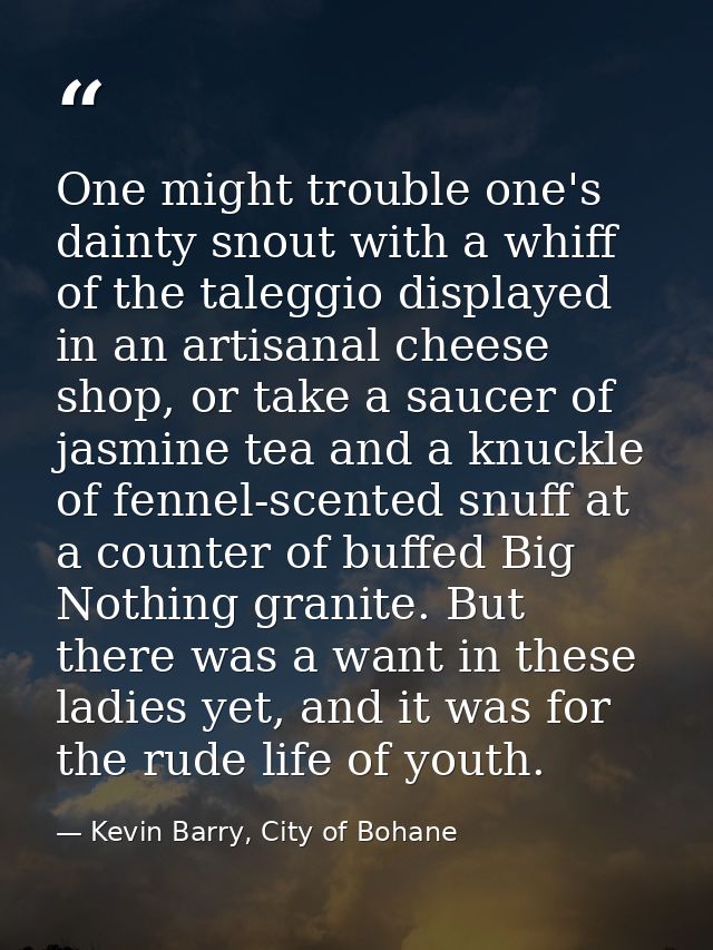 One might trouble one's dainty snout with a whiff of the taleggio displayed in an artisanal cheese shop, or take a sauce — Kevin Barry, City of Bohane