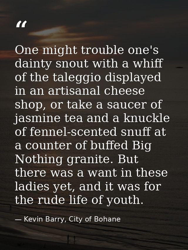 One might trouble one's dainty snout with a whiff of the taleggio displayed in an artisanal cheese shop, or take a sauce — Kevin Barry, City of Bohane