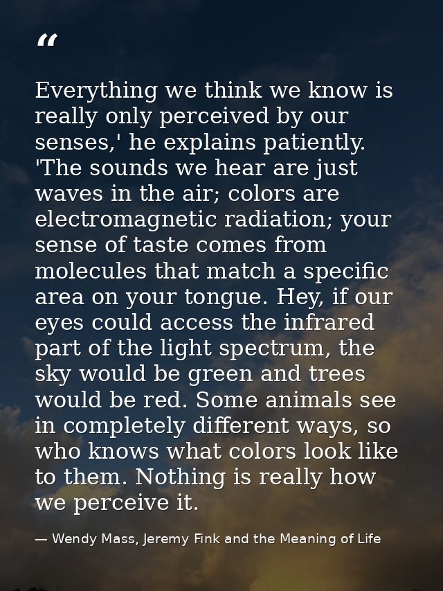 Everything we think we know is really only perceived by our senses,' he explains patiently. 'The sounds we hear are just — Wendy Mass, Jeremy Fink and the Meaning of Life