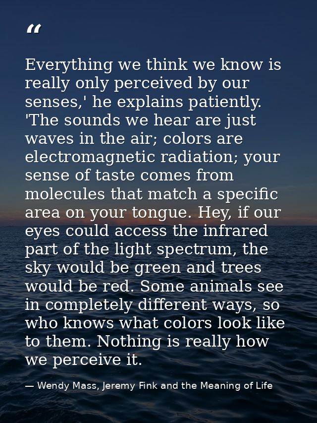 Everything we think we know is really only perceived by our senses,' he explains patiently. 'The sounds we hear are just — Wendy Mass, Jeremy Fink and the Meaning of Life