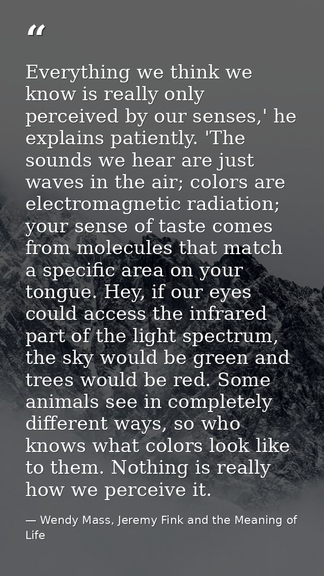 Everything we think we know is really only perceived by our senses,' he explains patiently. 'The sounds we hear are just — Wendy Mass, Jeremy Fink and the Meaning of Life