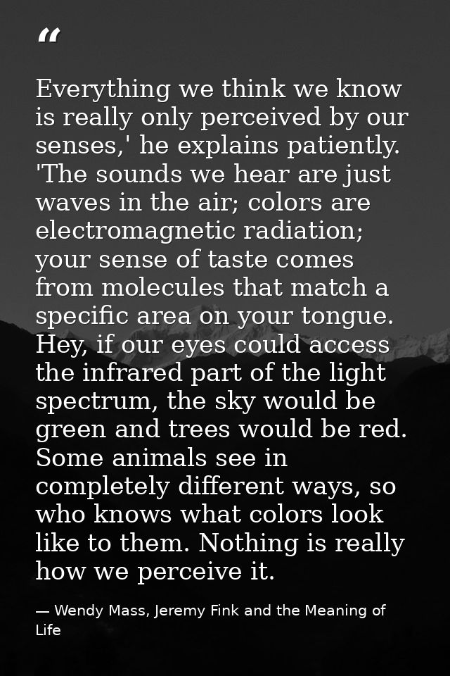 Everything we think we know is really only perceived by our senses,' he explains patiently. 'The sounds we hear are just — Wendy Mass, Jeremy Fink and the Meaning of Life