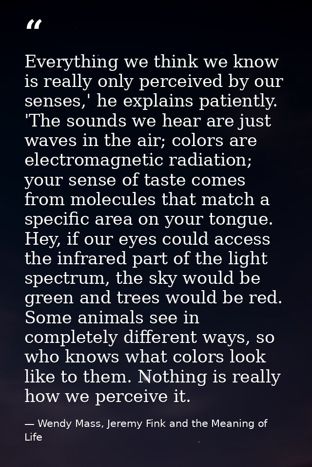 Everything we think we know is really only perceived by our senses,' he explains patiently. 'The sounds we hear are just — Wendy Mass, Jeremy Fink and the Meaning of Life