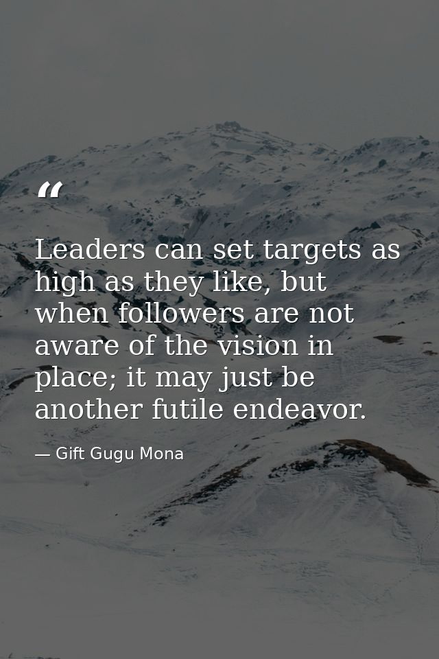 Leaders can set targets as high as they like, but when followers are not aware of the vision in place; it may just be an — Gift Gugu Mona