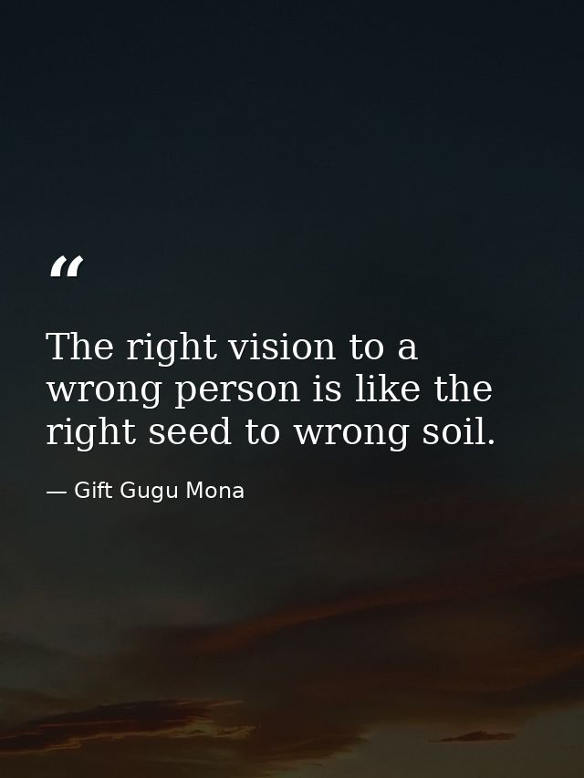The right vision to a wrong person is like the right seed to wrong soil. — Gift Gugu Mona