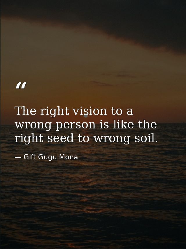 The right vision to a wrong person is like the right seed to wrong soil. — Gift Gugu Mona