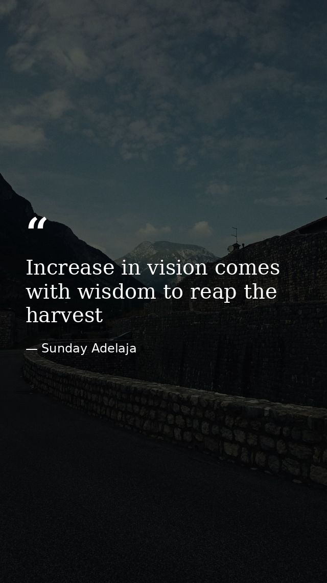 Increase in vision comes with wisdom to reap the harvest — Sunday Adelaja