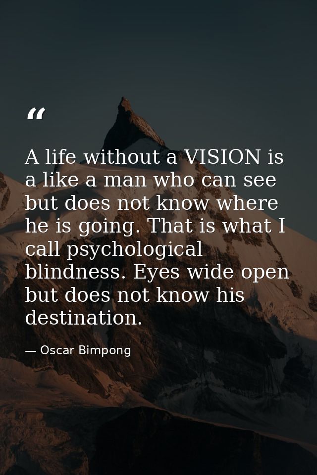 A life without a VISION is a like a man who can see but does not know where he is going. That is what I call psychologic — Oscar Bimpong