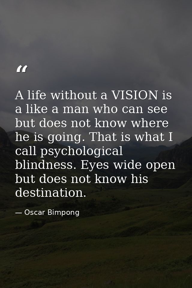A life without a VISION is a like a man who can see but does not know where he is going. That is what I call psychologic — Oscar Bimpong