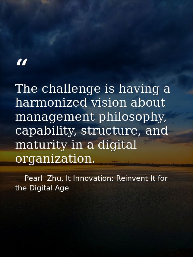 The challenge is having a harmonized vision about management philosophy, capability, structure, and maturity in a digita — Pearl  Zhu, It Innovation: Reinvent It for the Digital Age