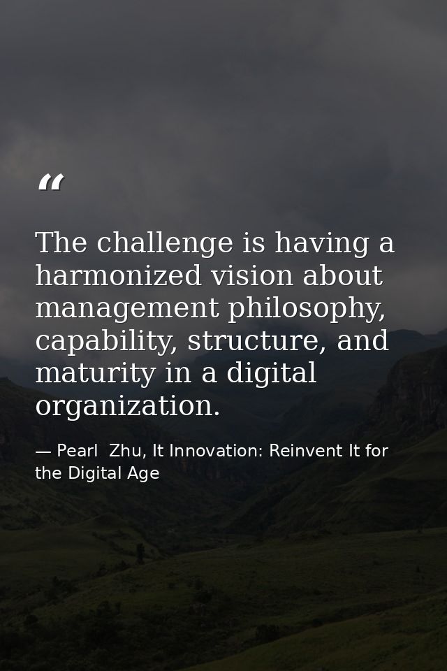 The challenge is having a harmonized vision about management philosophy, capability, structure, and maturity in a digita — Pearl  Zhu, It Innovation: Reinvent It for the Digital Age