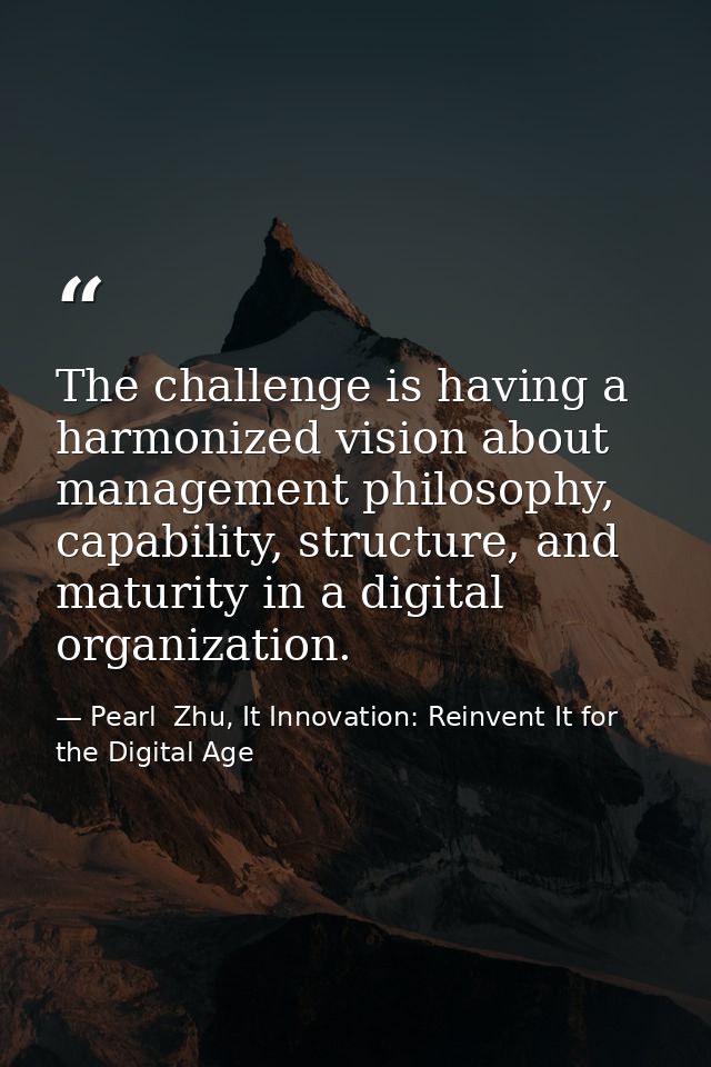 The challenge is having a harmonized vision about management philosophy, capability, structure, and maturity in a digita — Pearl  Zhu, It Innovation: Reinvent It for the Digital Age