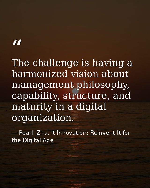 The challenge is having a harmonized vision about management philosophy, capability, structure, and maturity in a digita — Pearl  Zhu, It Innovation: Reinvent It for the Digital Age