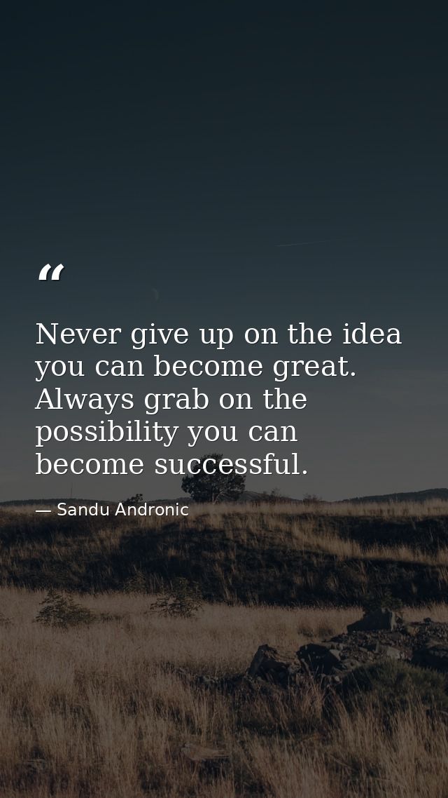 Never give up on the idea you can become great. Always grab on the possibility you can become successful. — Sandu Andronic