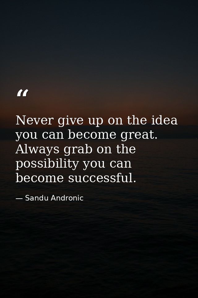 Never give up on the idea you can become great. Always grab on the possibility you can become successful. — Sandu Andronic