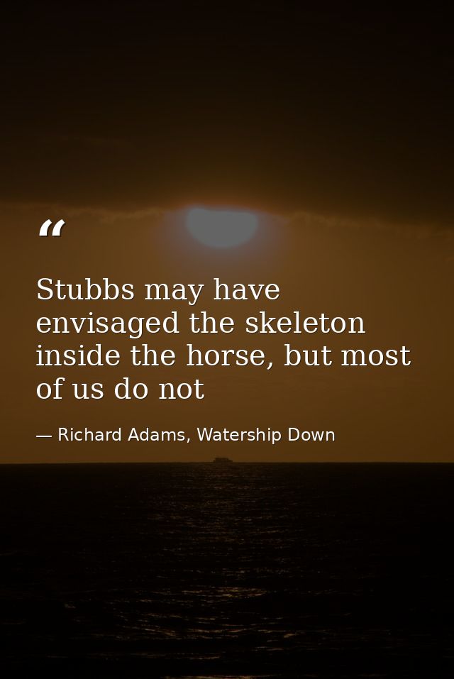 Stubbs may have envisaged the skeleton inside the horse, but most of us do not — Richard Adams, Watership Down