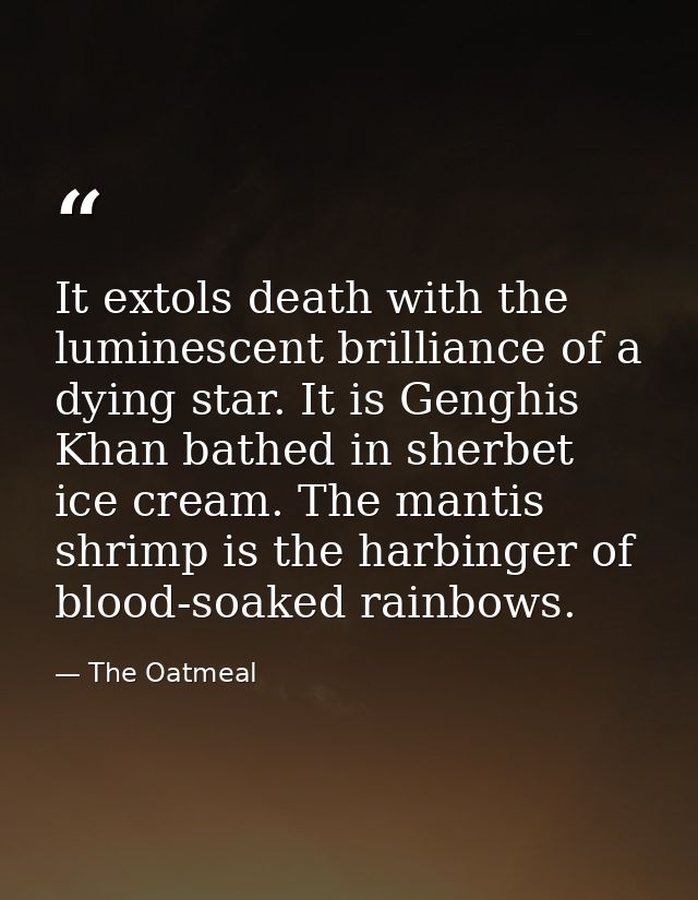 It extols death with the luminescent brilliance of a dying star. It is Genghis Khan bathed in sherbet ice cream. The man — The Oatmeal