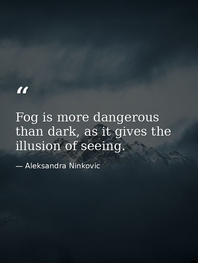 Fog is more dangerous than dark, as it gives the illusion of seeing. — Aleksandra Ninkovic