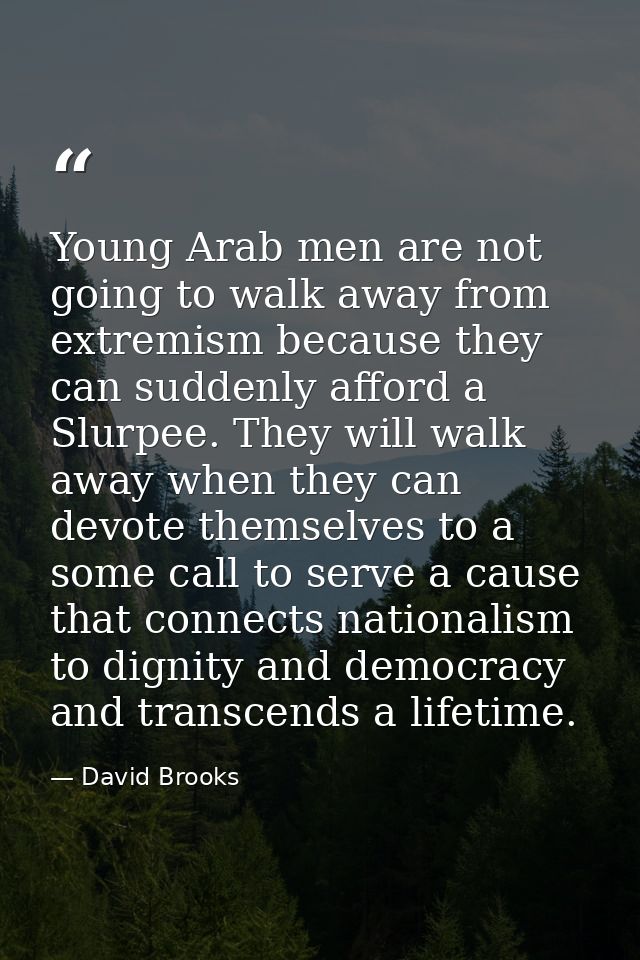 Young Arab men are not going to walk away from extremism because they can suddenly afford a Slurpee. They will walk away — David Brooks