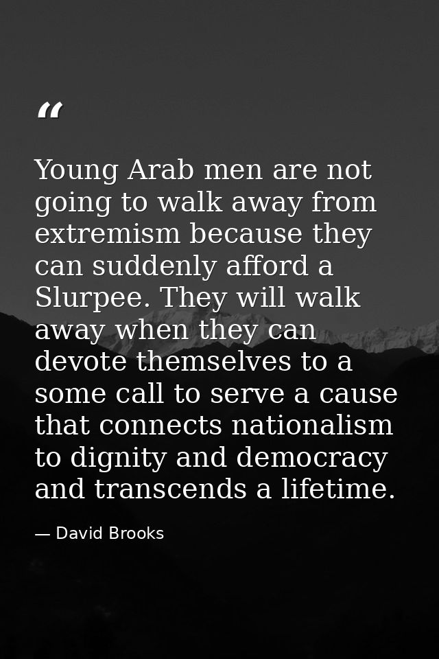 Young Arab men are not going to walk away from extremism because they can suddenly afford a Slurpee. They will walk away — David Brooks