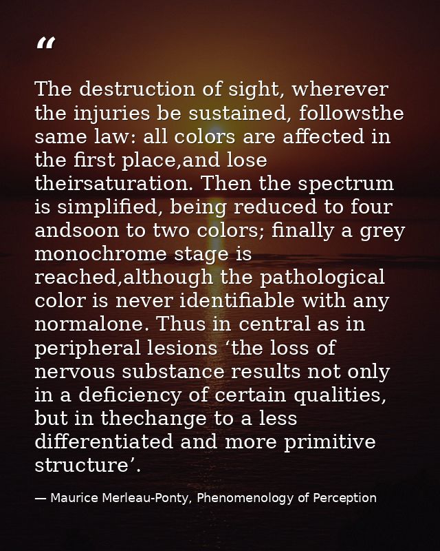The destruction of sight, wherever the injuries be sustained, followsthe same law: all colors are aﬀected in the ﬁrst pl — Maurice Merleau-Ponty, Phenomenology of Perception