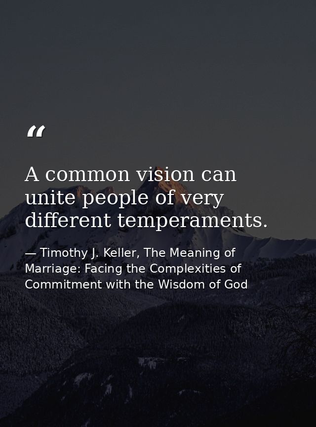 A common vision can unite people of very different temperaments. — Timothy J. Keller, The Meaning of Marriage: Facing the Complexities of Commitment with the Wisdom of God