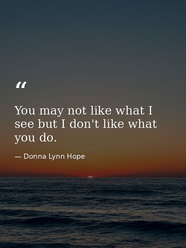 You may not like what I see but I don't like what you do. — Donna Lynn Hope
