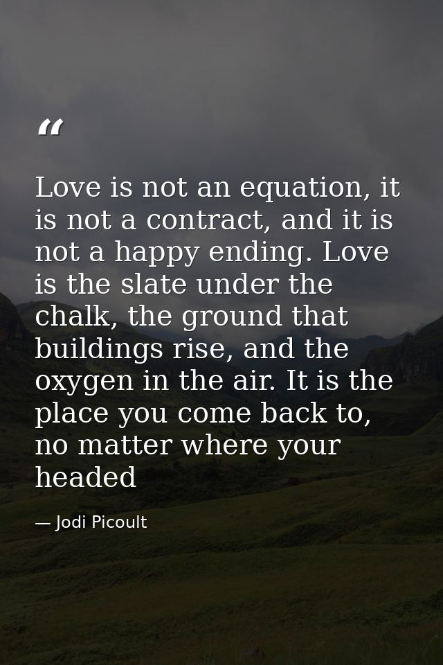 Love is not an equation, it is not a contract, and it is not a happy ending. Love is the slate under the chalk, the grou — Jodi Picoult