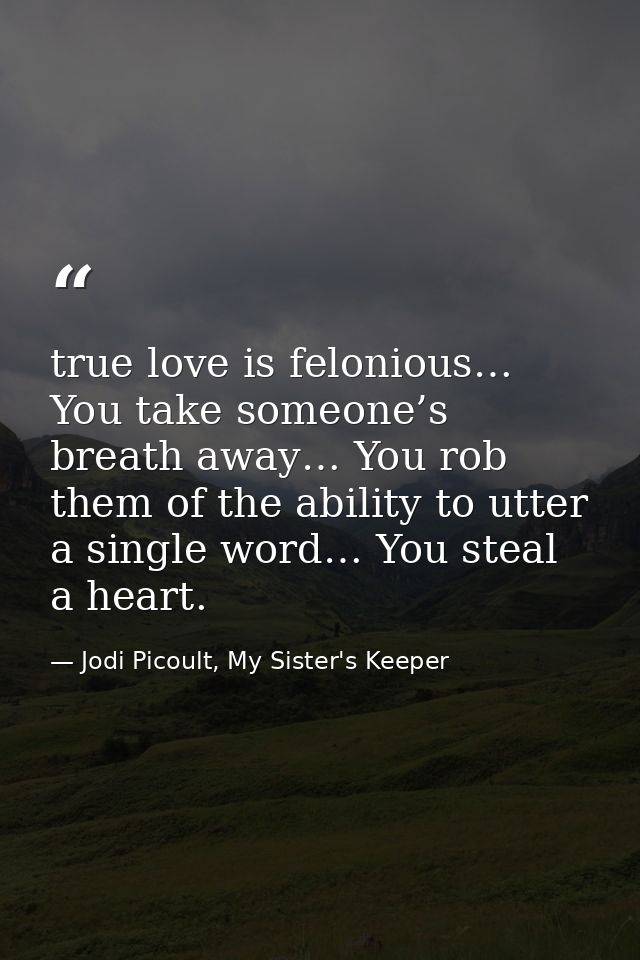 true love is felonious… You take someone’s breath away… You rob them of the ability to utter a single word… You steal a  — Jodi Picoult, My Sister's Keeper