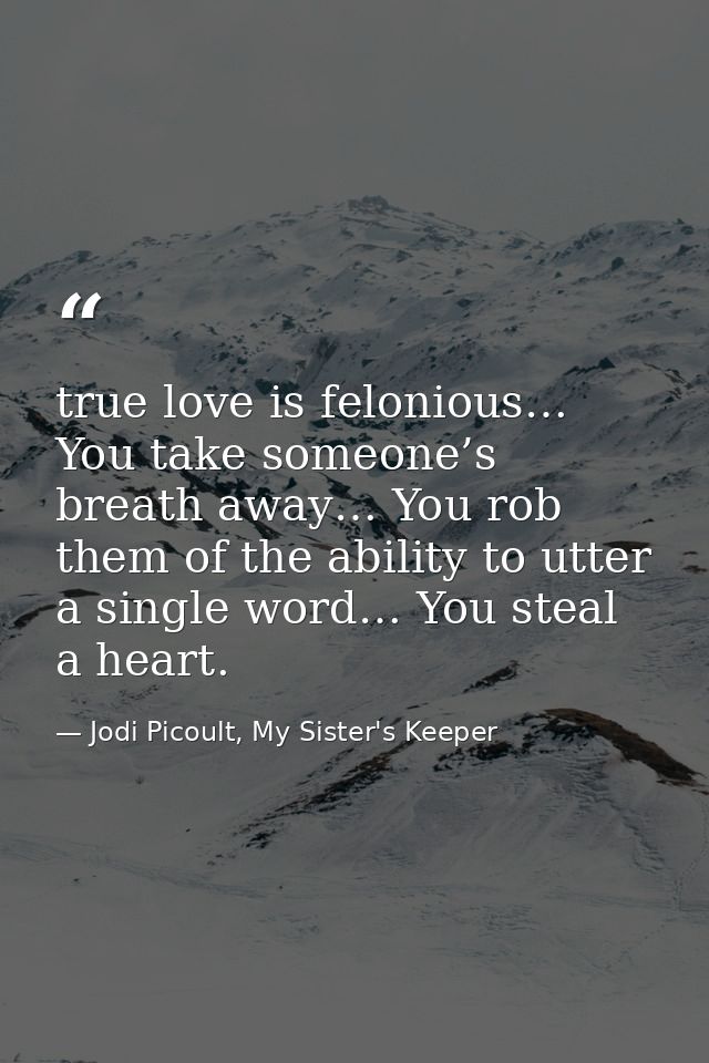 true love is felonious… You take someone’s breath away… You rob them of the ability to utter a single word… You steal a  — Jodi Picoult, My Sister's Keeper