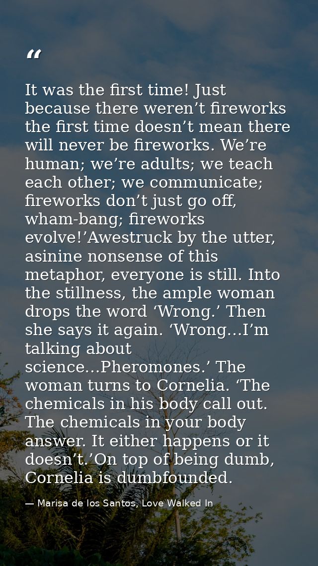 It was the first time! Just because there weren’t fireworks the first time doesn’t mean there will never be fireworks. W — Marisa de los Santos, Love Walked In