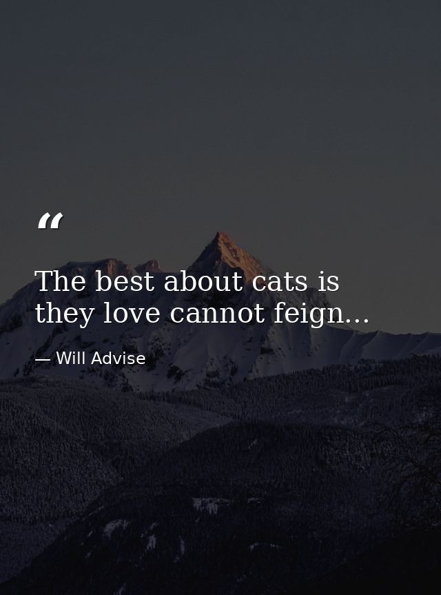 The best about cats is they love cannot feign... — Will Advise