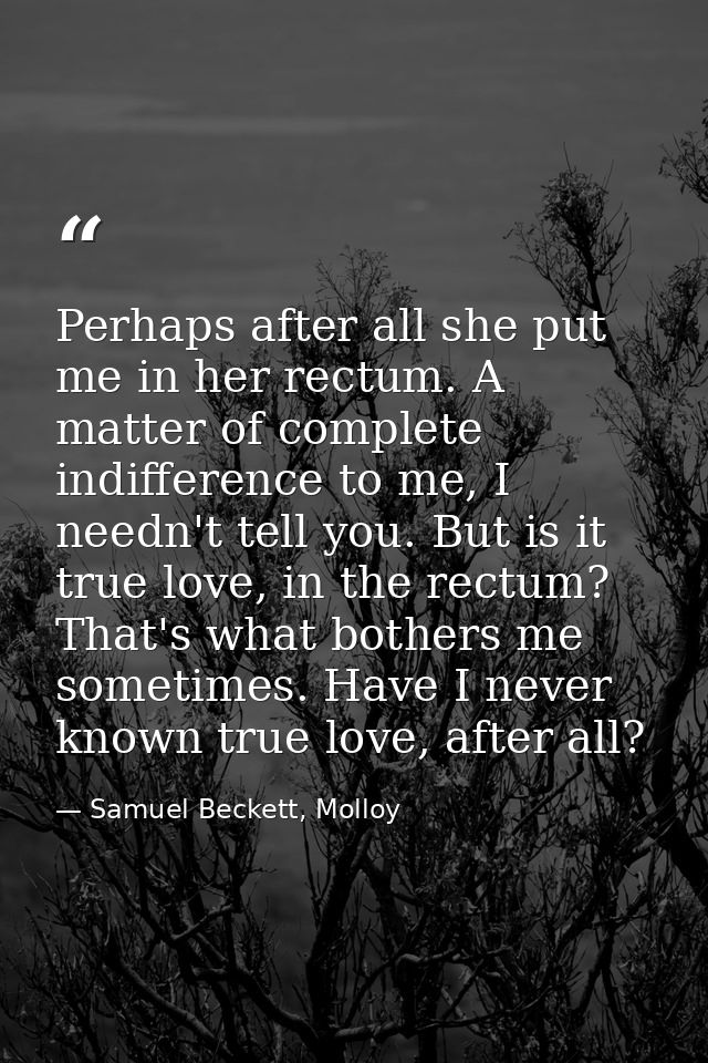 Perhaps after all she put me in her rectum. A matter of complete indifference to me, I needn't tell you. But is it true  — Samuel Beckett, Molloy