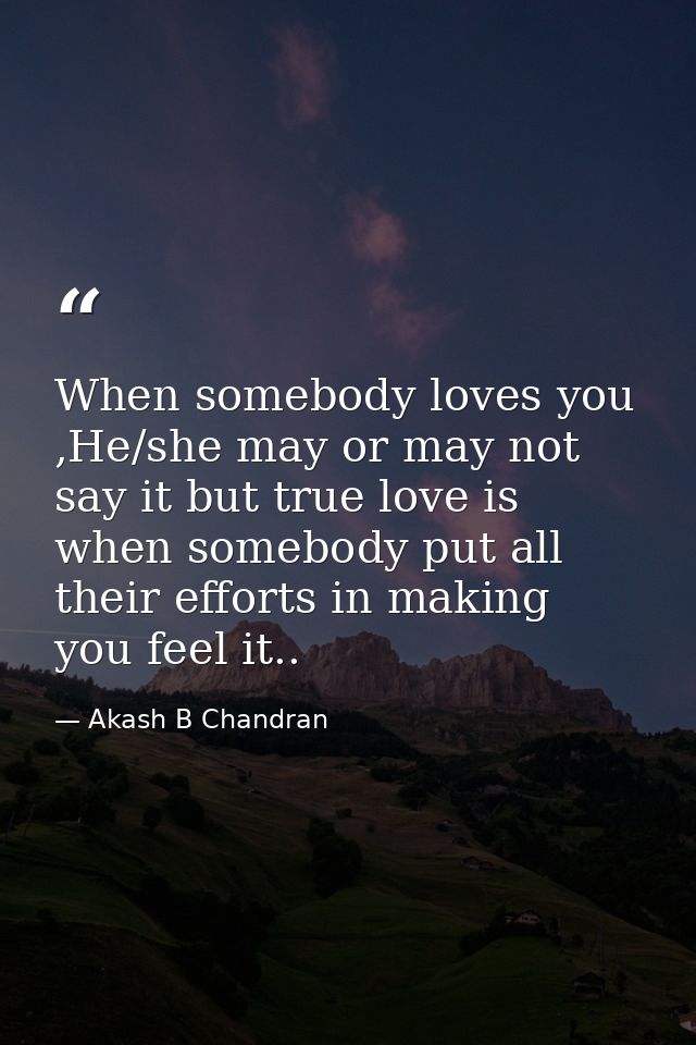When somebody loves you ,He/she may or may not say it but true love is when somebody put all their efforts in making you — Akash B Chandran