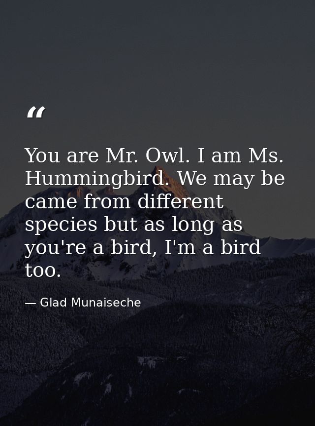 You are Mr. Owl. I am Ms. Hummingbird. We may be came from different species but as long as you're a bird, I'm a bird to — Glad Munaiseche