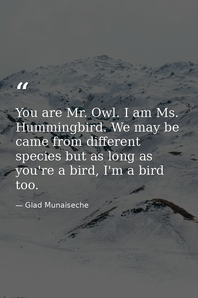 You are Mr. Owl. I am Ms. Hummingbird. We may be came from different species but as long as you're a bird, I'm a bird to — Glad Munaiseche