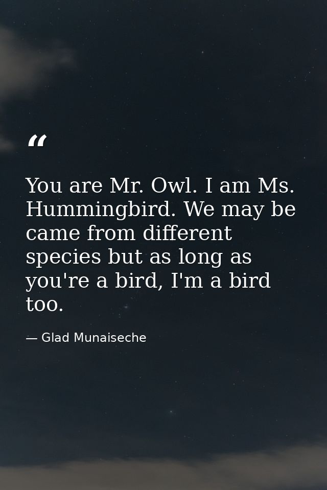 You are Mr. Owl. I am Ms. Hummingbird. We may be came from different species but as long as you're a bird, I'm a bird to — Glad Munaiseche