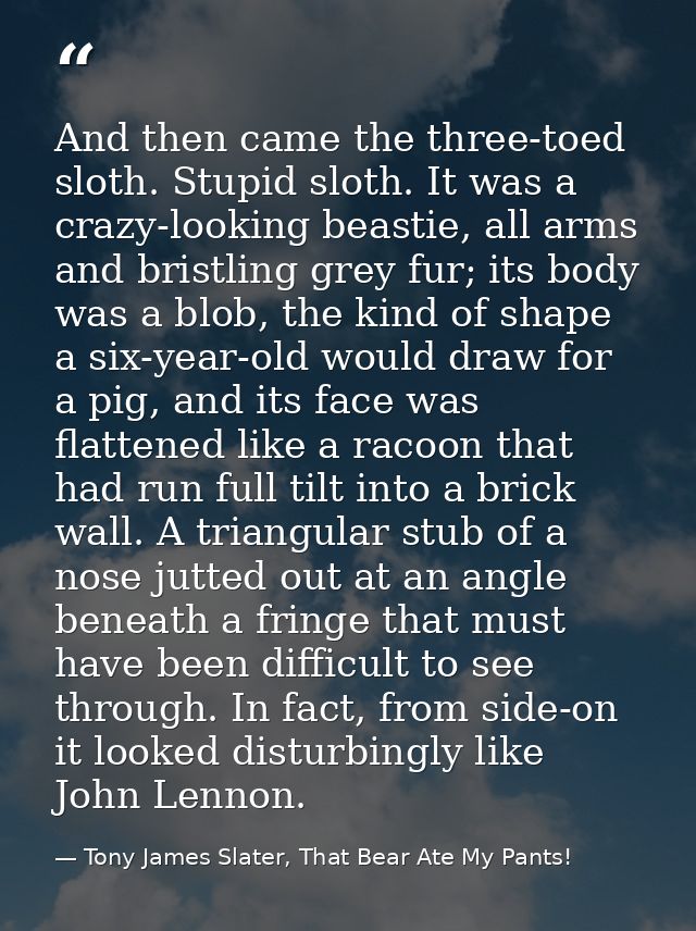 And then came the three-toed sloth. Stupid sloth. It was a crazy-looking beastie, all arms and bristling grey fur; its b — Tony James Slater, That Bear Ate My Pants!
