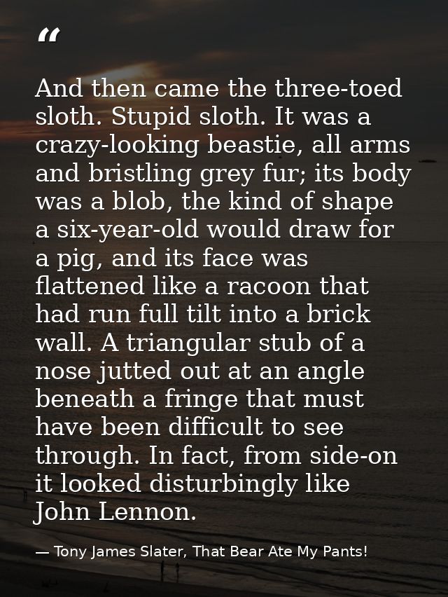 And then came the three-toed sloth. Stupid sloth. It was a crazy-looking beastie, all arms and bristling grey fur; its b — Tony James Slater, That Bear Ate My Pants!