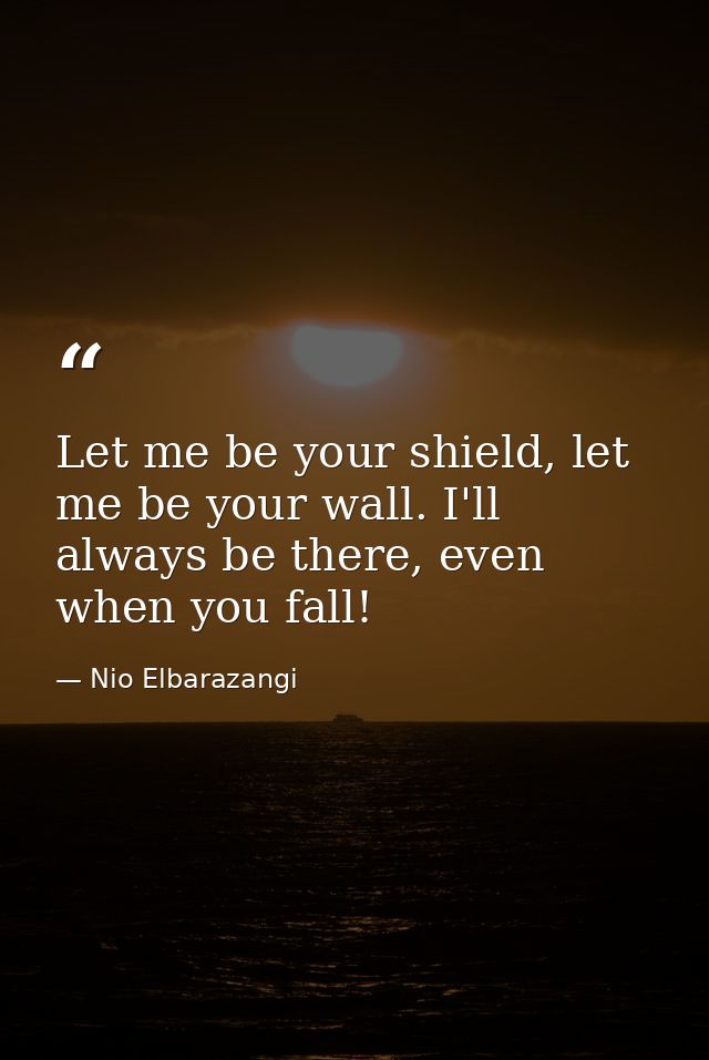 Let me be your shield, let me be your wall. I'll always be there, even when you fall! — Nio Elbarazangi