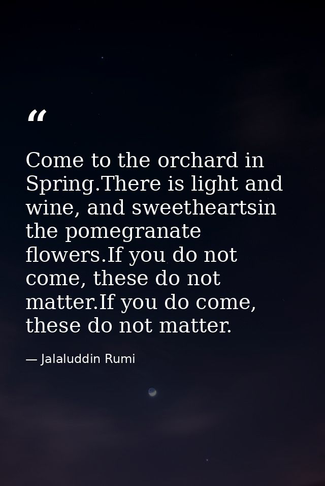 Come to the orchard in Spring.There is light and wine, and sweetheartsin the pomegranate flowers.If you do not come, the — Jalaluddin Rumi