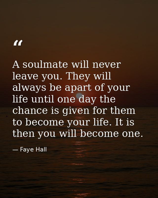 A soulmate will never leave you. They will always be apart of your life until one day the chance is given for them to be — Faye Hall