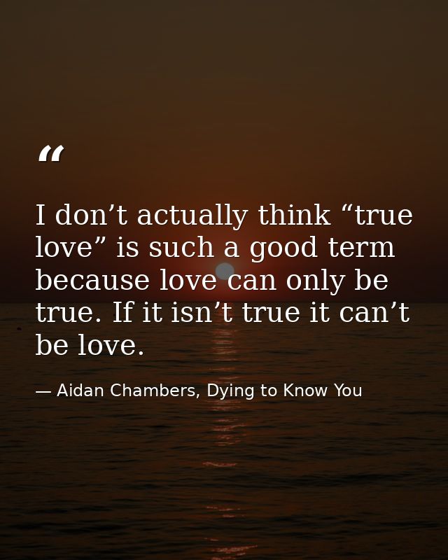 I don’t actually think “true love” is such a good term because love can only be true. If it isn’t true it can’t be love. — Aidan Chambers, Dying to Know You