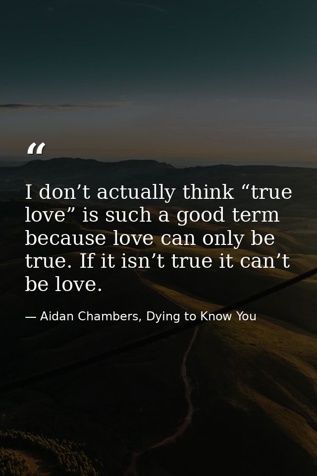 I don’t actually think “true love” is such a good term because love can only be true. If it isn’t true it can’t be love. — Aidan Chambers, Dying to Know You