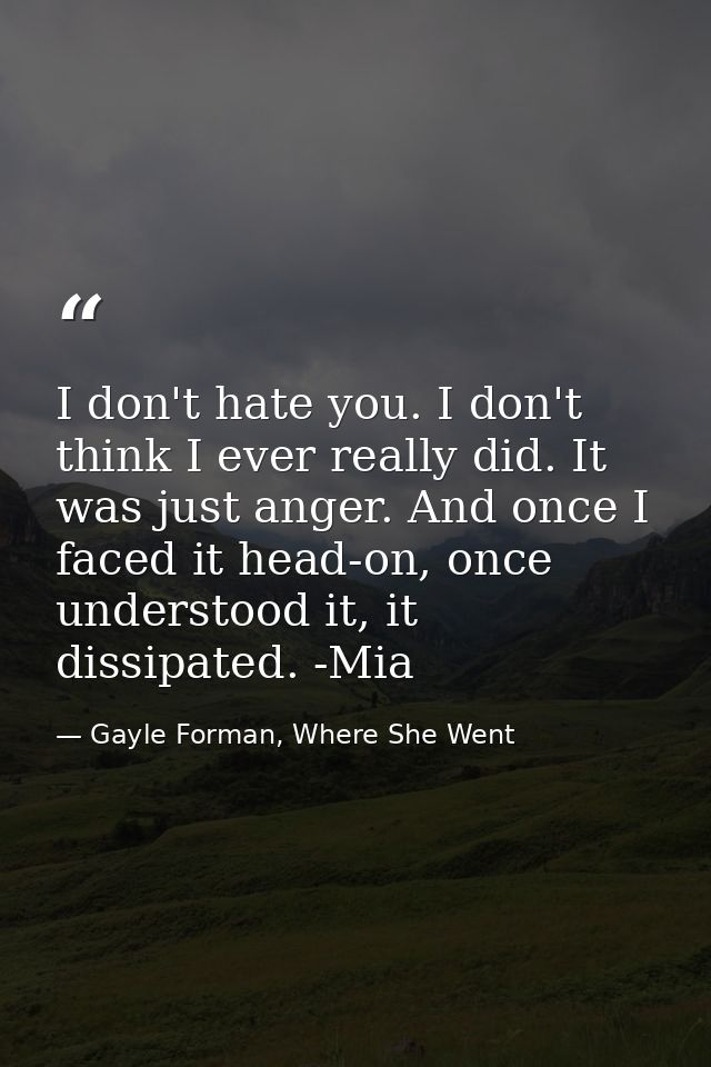 I don't hate you. I don't think I ever really did. It was just anger. And once I faced it head-on, once understood it, i — Gayle Forman, Where She Went