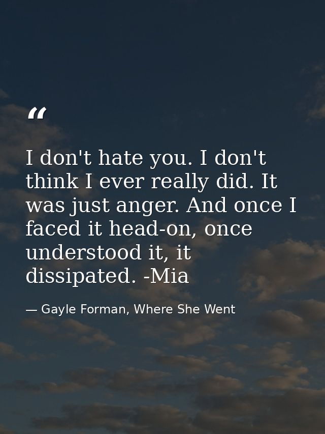 I don't hate you. I don't think I ever really did. It was just anger. And once I faced it head-on, once understood it, i — Gayle Forman, Where She Went