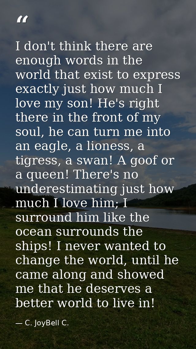 I don't think there are enough words in the world that exist to express exactly just how much I love my son! He's right  — C. JoyBell C.