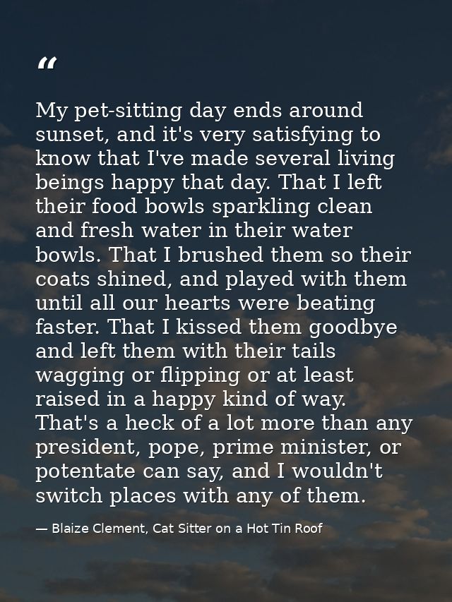 My pet-sitting day ends around sunset, and it's very satisfying to know that I've made several living beings happy that  — Blaize Clement, Cat Sitter on a Hot Tin Roof