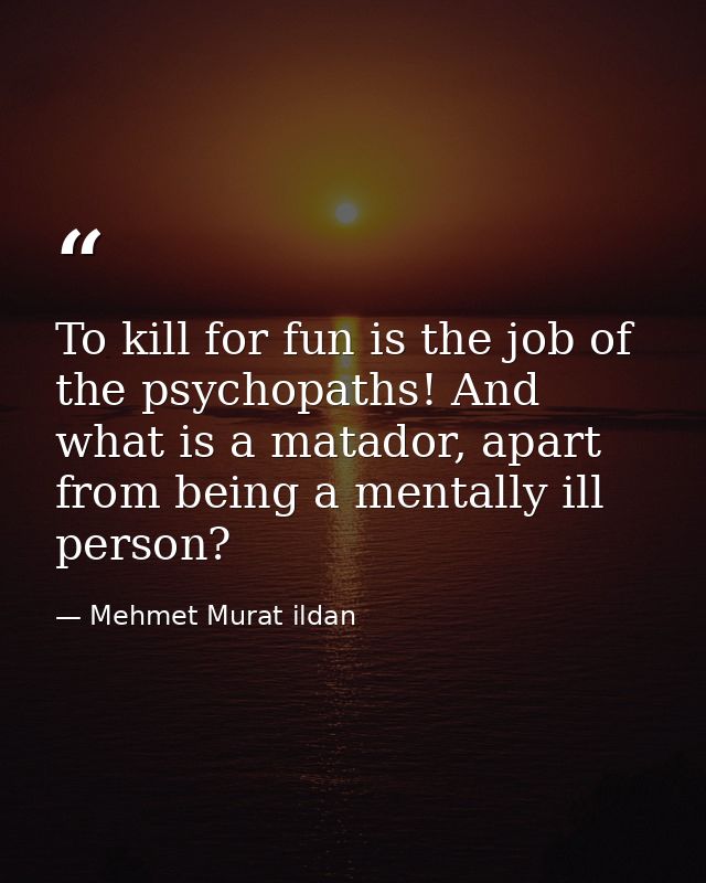 To kill for fun is the job of the psychopaths! And what is a matador, apart from being a mentally ill person? — Mehmet Murat ildan