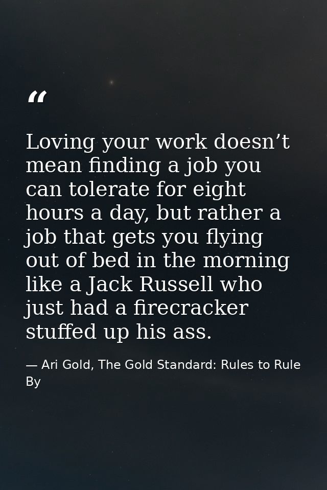 Loving your work doesn’t mean finding a job you can tolerate for eight hours a day, but rather a job that gets you flyin — Ari Gold, The Gold Standard: Rules to Rule By
